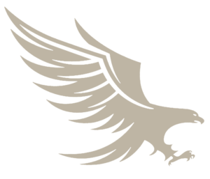 logo dhs aigle greg