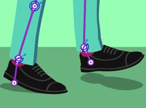 Adobe Flash Professional CC1