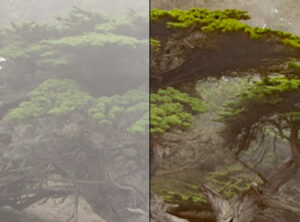 Adobe Photoshop Lightroom CC1