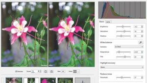 PaintShop Pro nouvaute11