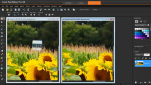 PaintShop Pro nouvaute16