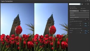 PaintShop Pro nouvaute5